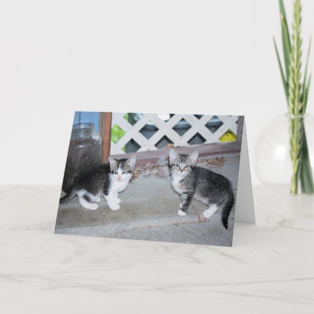 Tarjeta Gatitos (Anverso)