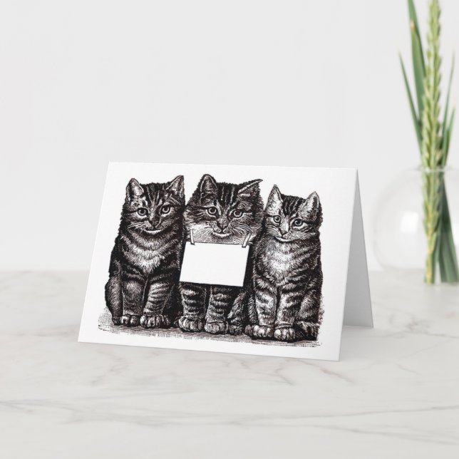 Tarjeta Gatitos (Anverso)