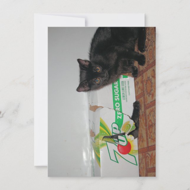 Tarjeta Gatitos (Anverso)