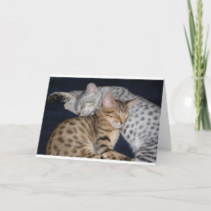 TARJETA GATITOS ADORABLES