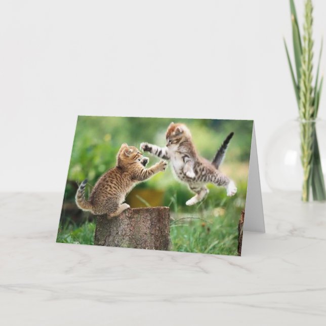 Tarjeta Gatitos del bosque noruego (Anverso)