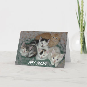 Tarjeta Gatitos del Día de la Madre