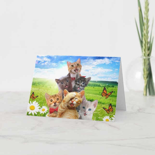 Tarjeta Gatitos divertidos en el campo verde. (Anverso)