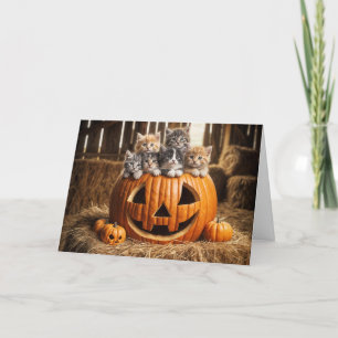 Tarjeta Gatitos En La Calabaza De Halloween En El Barn