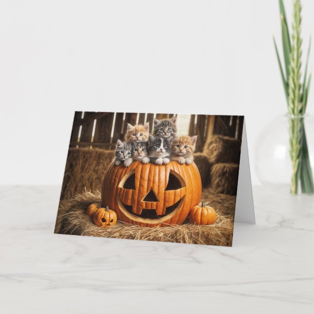 Tarjeta Gatitos En La Calabaza De Halloween En El Barn (Anverso)