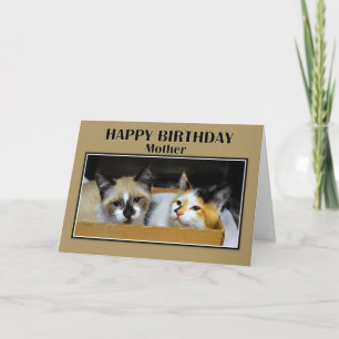Tarjeta Gatitos en una caja madre feliz cumpleaños