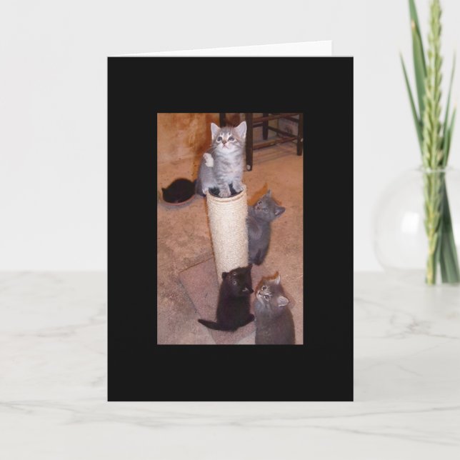 Tarjeta Gatitos jugando (Anverso)