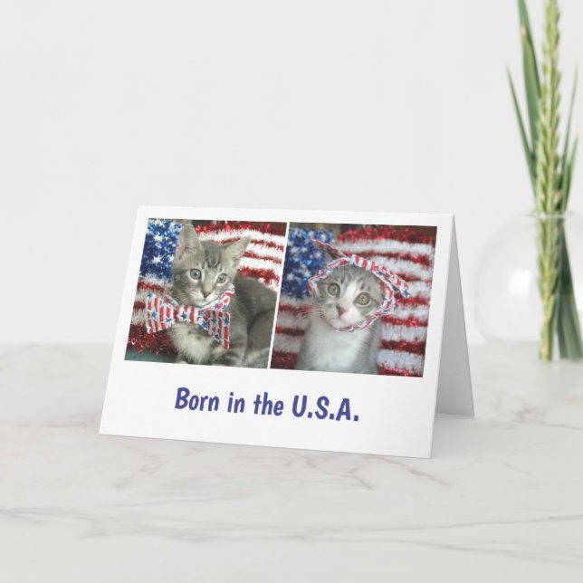 Tarjeta Gatitos patrióticos (Anverso)