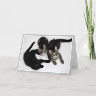 Tarjeta Gatitos pensando en tu carta