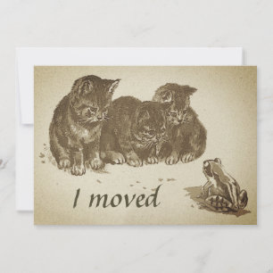 Tarjeta Gatitos vintage y rana I movieron cambio de direcc