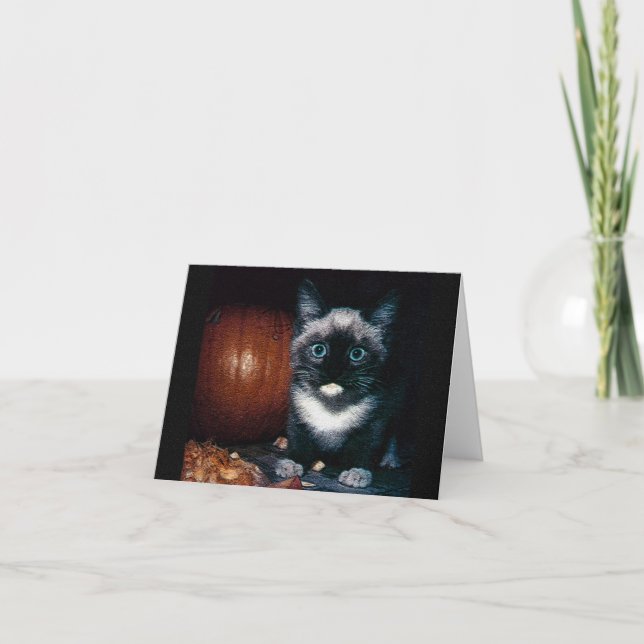 Tarjeta Gatitos y calabaza para Halloween (Anverso)