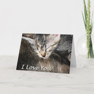 Tarjeta Gatitos y gatos que te amo