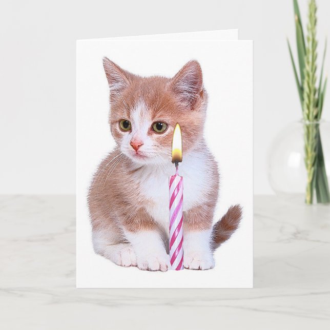 Tarjeta Gatitos y una vela rosa (Anverso)