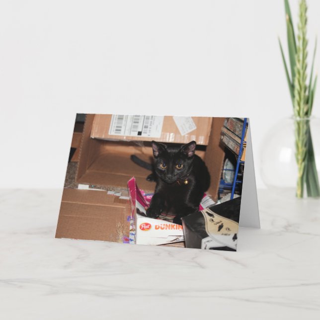 Tarjeta Gato (Anverso)