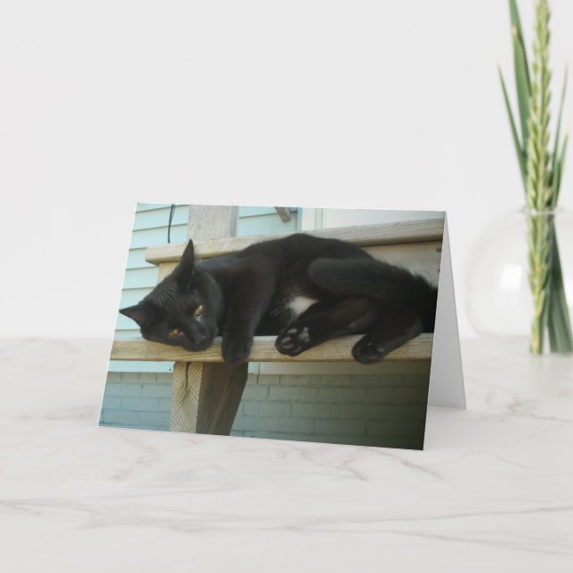 Tarjeta Gato (Anverso)