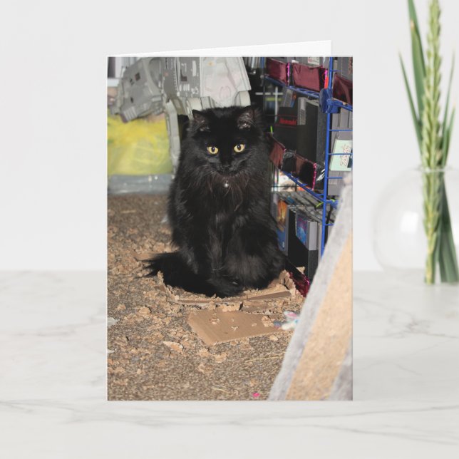 Tarjeta Gato (Anverso)