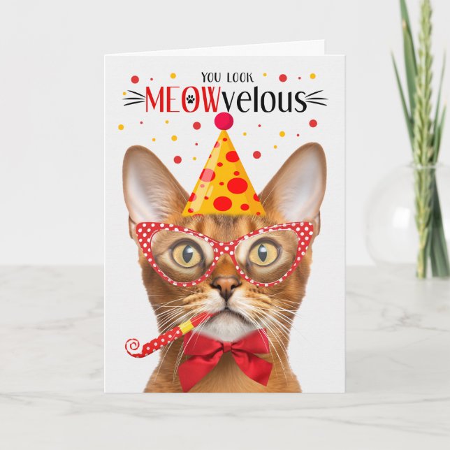 Tarjeta Gato abisino MEOWveloz cumpleaños (Anverso)