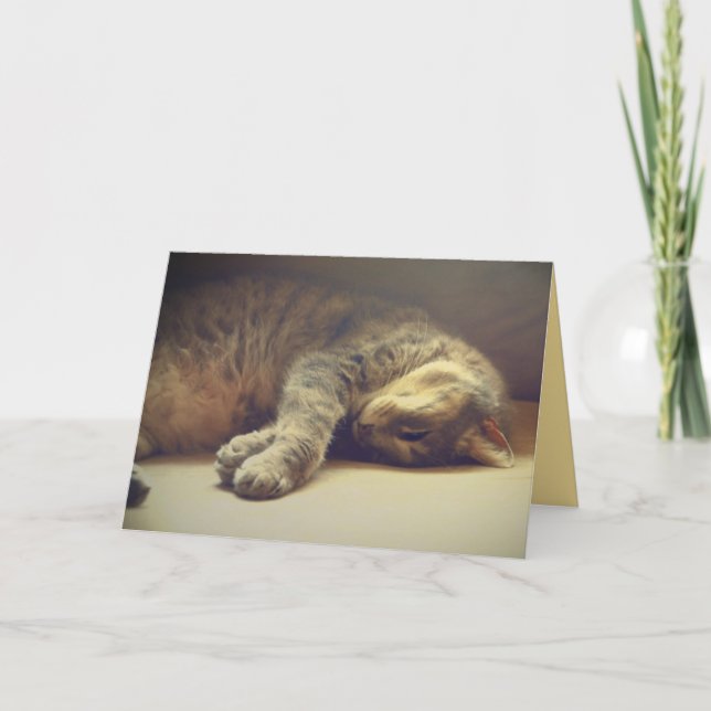 Tarjeta Gato Adorable (Anverso)