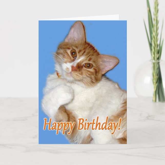 Tarjeta Gato adorable posando - Cumpleaños General (Anverso)