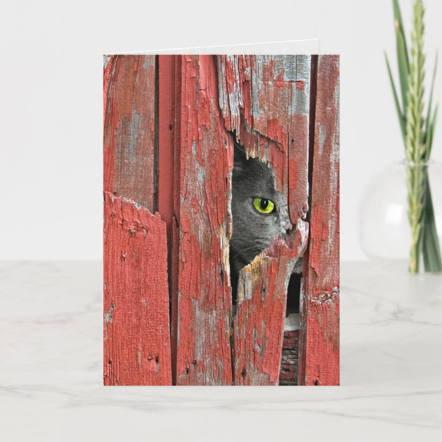 Tarjeta Gato asomando en un agujero de madera (Anverso)