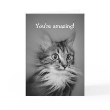 Gato Asombroso Con Cuello Ruff Feliz Cumpleaños