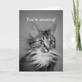 Tarjeta Gato Asombroso Con Cuello Ruff Feliz Cumpleaños