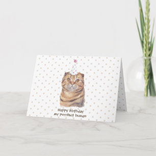 Tarjeta Gato atigrado escocés plegable de pelo corto con s