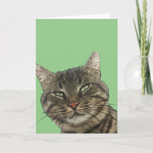 Tarjeta Gato Atigrado Marrón Encantador Arte Con Contorno