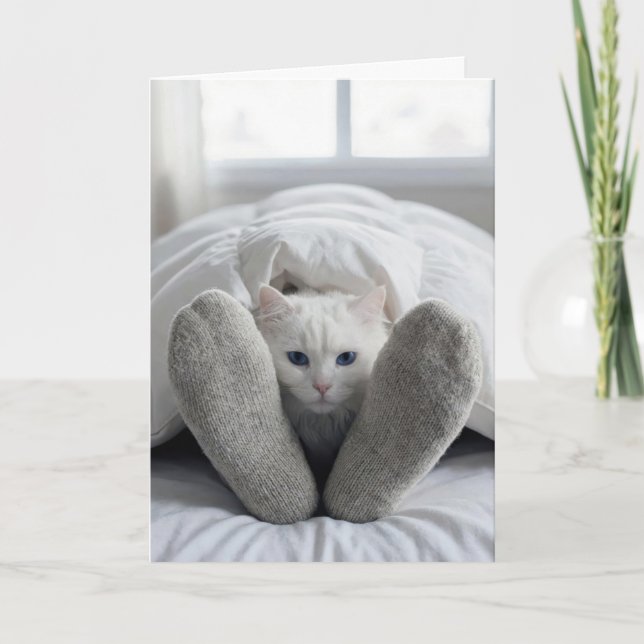Tarjeta Gato blanco de cumpleaños debajo de un edredón (Anverso)