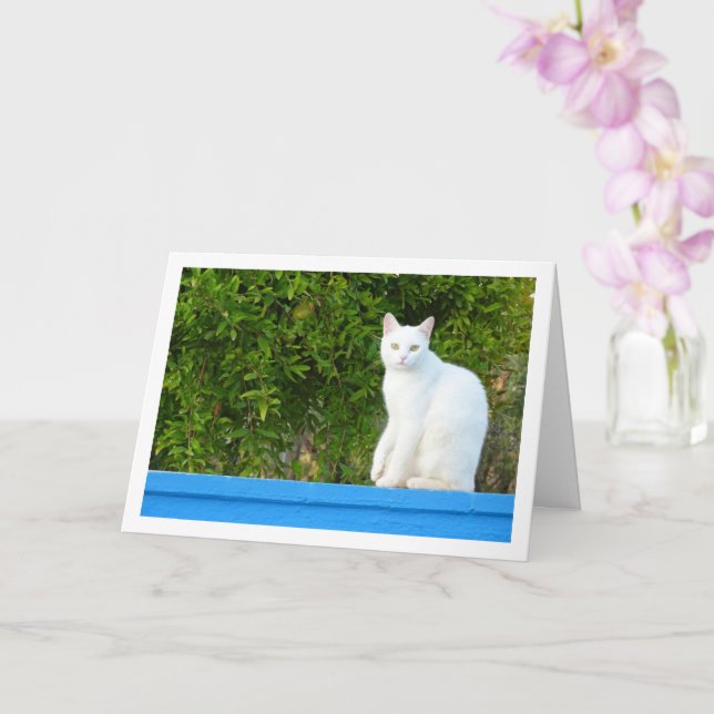 Tarjeta Gato blanco en el árbol granate (Orquídea)