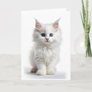 Tarjeta Gato Blanco Esponjoso de Pelo Largo Ojos Azules Ta