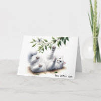 Gato blanco juguetón ponerse bien