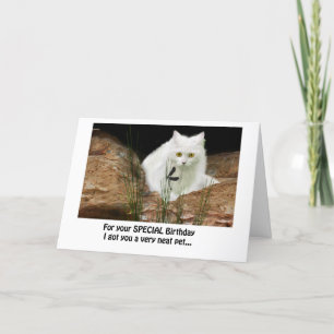 Tarjeta gato blanco y libélula recortada, texto de cumplea