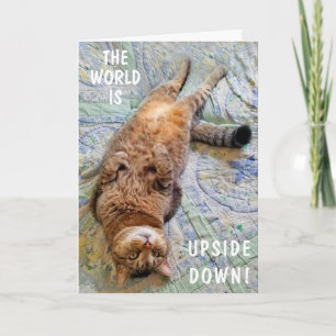 Tarjeta Gato boca abajo que te extraña