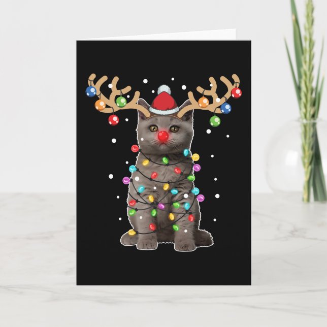 Tarjeta Gato británico de pelo corto divertido navidad (Anverso)