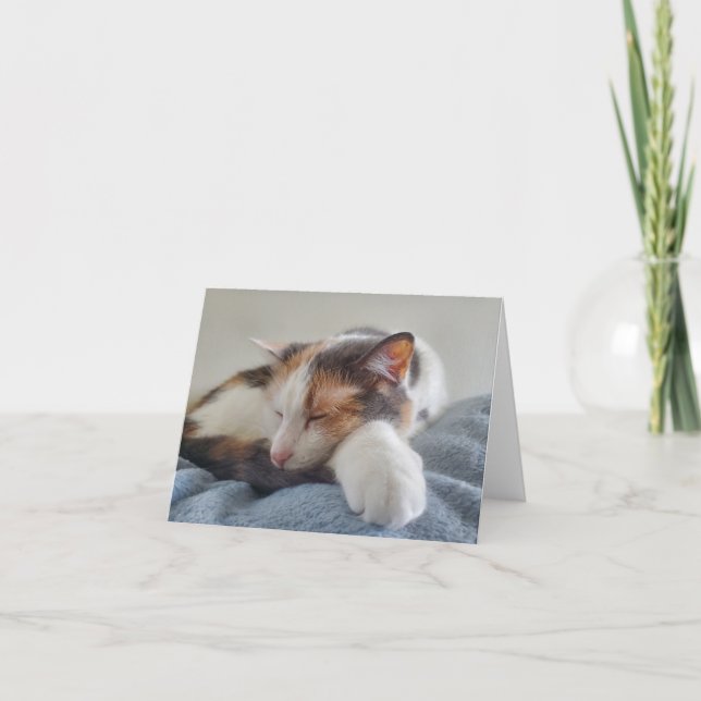 Tarjeta Gato calico durmiente (Anverso)