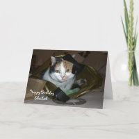 Gato Calico personalizado en una bolsa de compras 