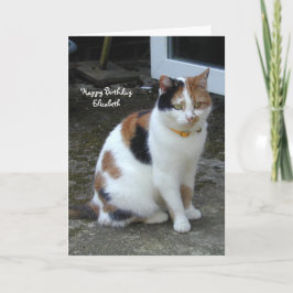 Tarjeta Gato Calico personalizado sentado a las afueras de