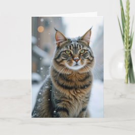 Tarjeta Gato Callejero De Cumpleaños En Nieve