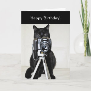 Tarjeta Gato con la cámara