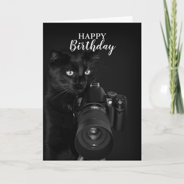 Tarjeta Gato con la cámara (Anverso)