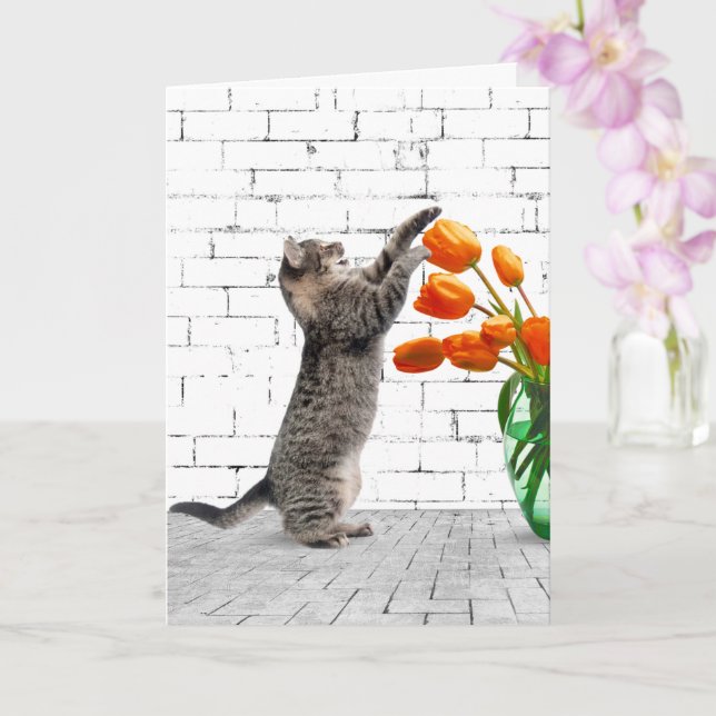 Tarjeta Gato con Naranja Tulips Cumpleaños (Orquídea)