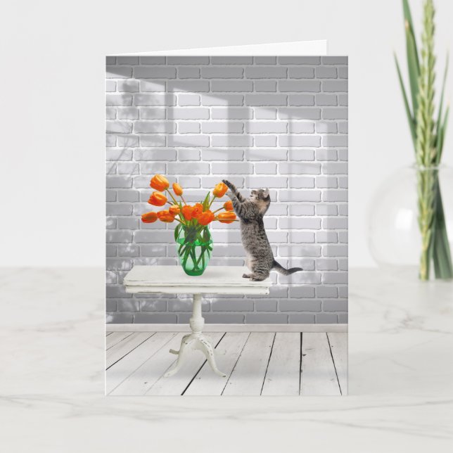 Tarjeta Gato con Naranja Tulips Cumpleaños (Anverso)