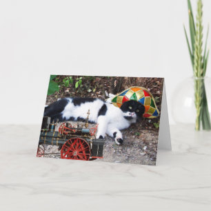 TARJETA GATO CON SOMBRERO HARLEQUÍN CON LOCOMOTORA DE VAPO