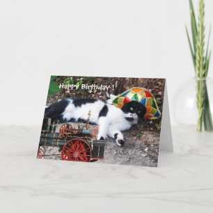 Tarjeta GATO CON SOMBRERO HARLEQUÍN Feliz Cumpleaños