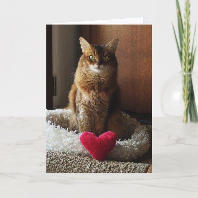 Tarjeta Gato Corazón Gato Somalí Día de San Valentín  (Anverso)