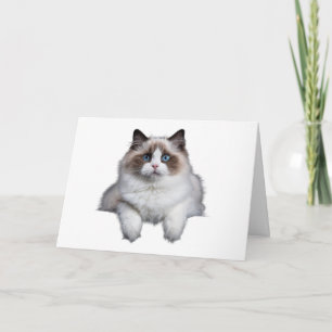Tarjeta Gato Cute Ragdoll
