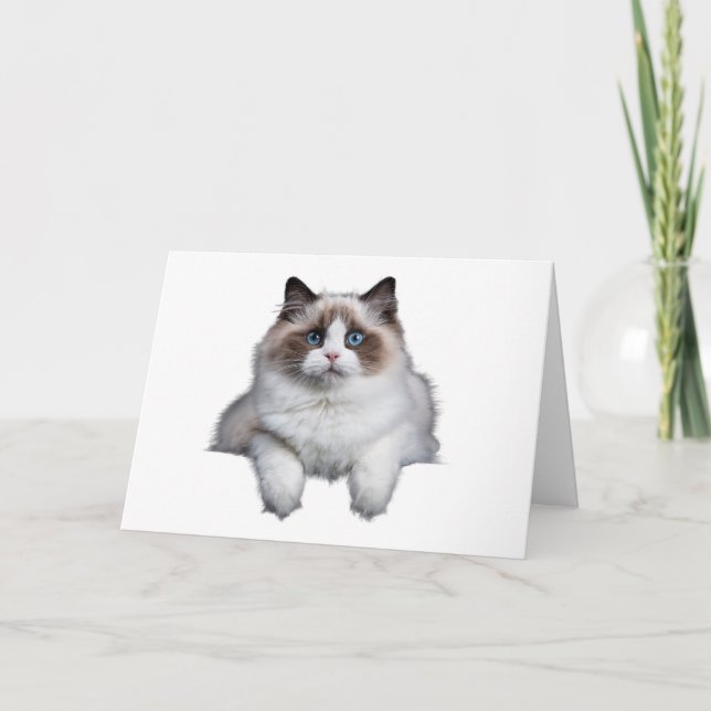 Tarjeta Gato Cute Ragdoll (Anverso)