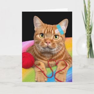 Tarjeta Gato dañado en fondo arco iris
