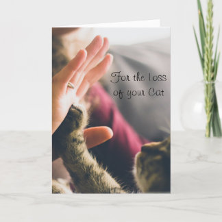 Tarjeta Gato dando un cinco con la pata